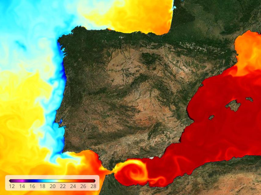 Temperaturas en la superficie marina este viernes.