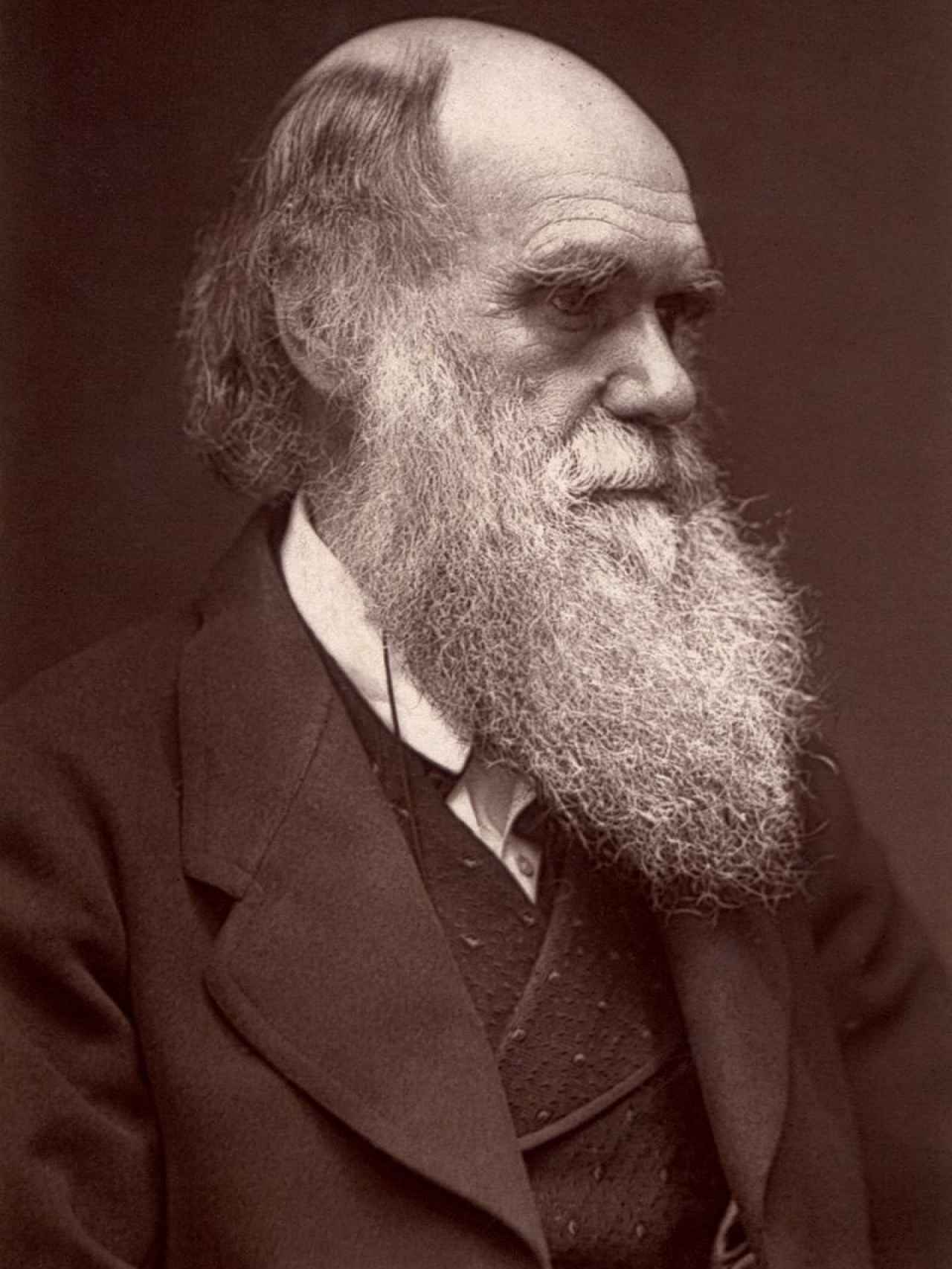 Retrato de Charles Darwin en 1874.