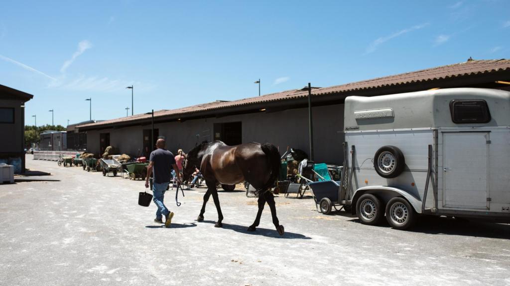 Caballos pasan junto a las cuadras