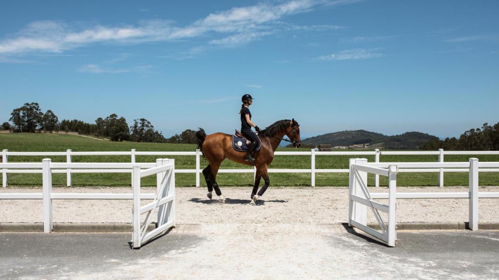 Un caballo frente a una de las pistas de Casas Novas