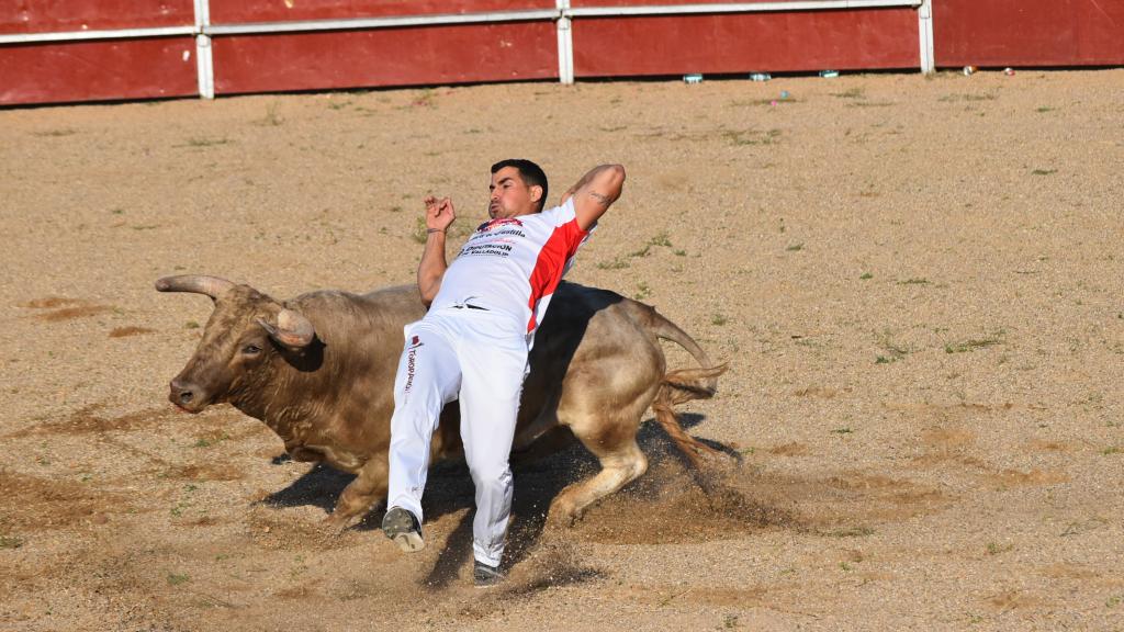 Jorge Gómez, ganador del concurso de cortes de Cigales