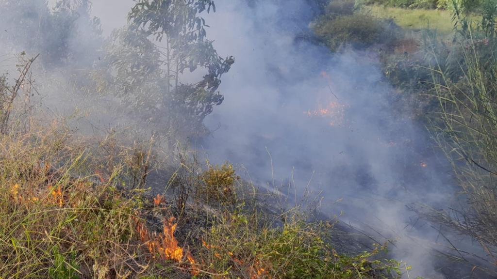 Incendios forestales en Estepona.