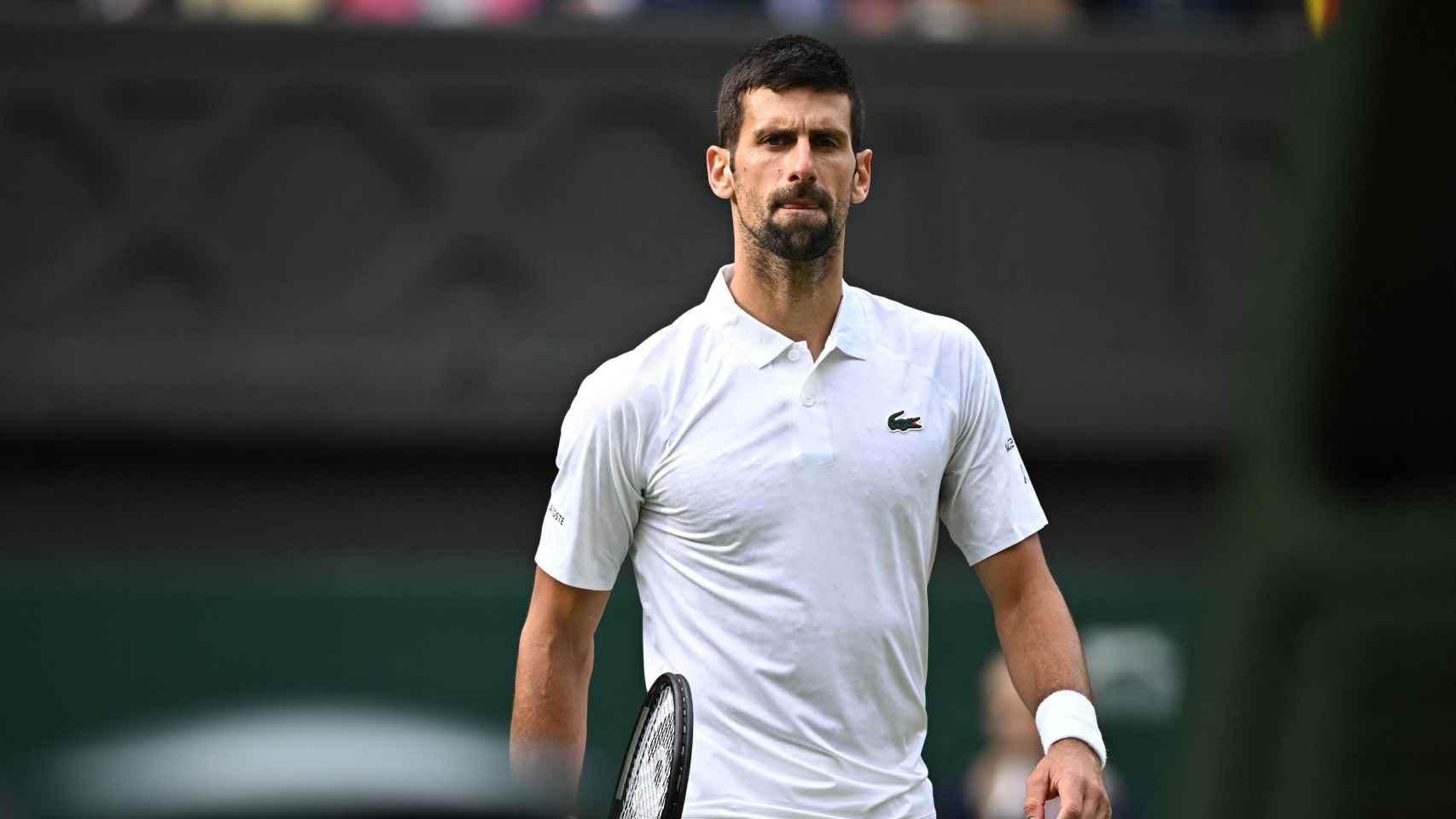 Novak Djokovic, en la final de Wimbledon 2023
