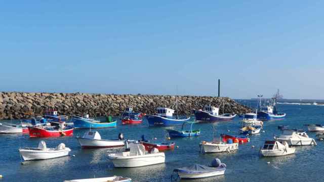 Pesqueros amarrados en un puerto de Canarias.
