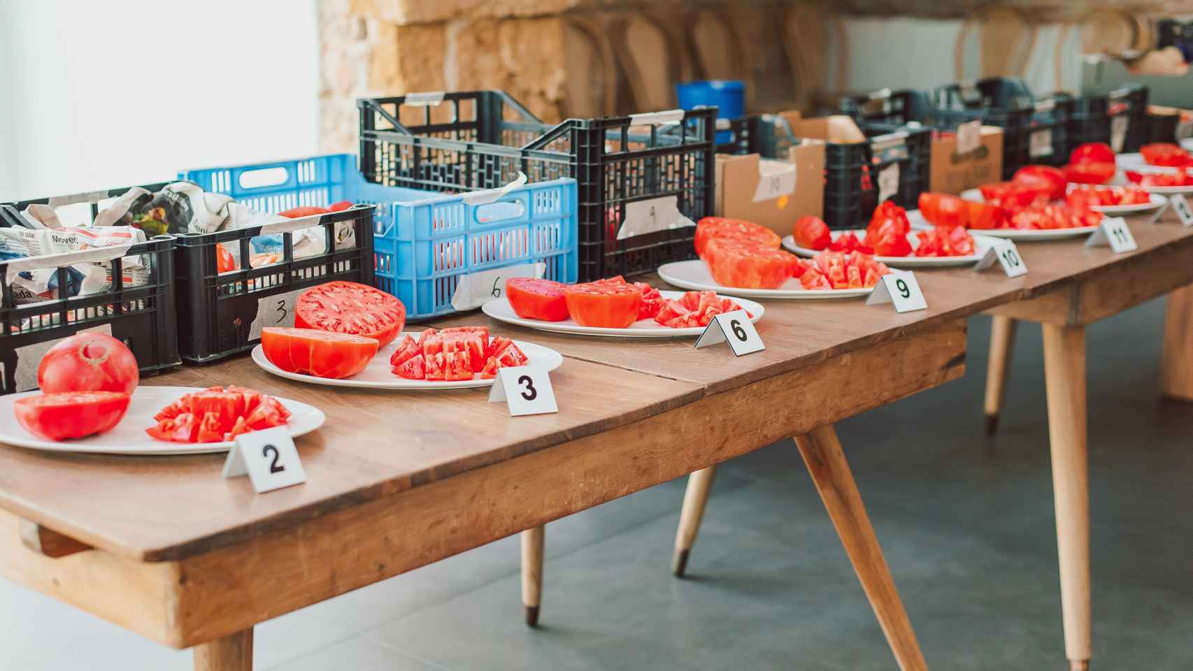Aquí hay tomate: se busca el mejor de la Comunidad Valenciana