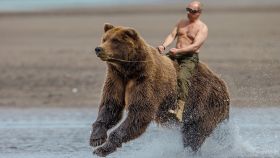 Uno de los memes de internet que muestran a Putin cabalgando un oso, símbolo de Rusia