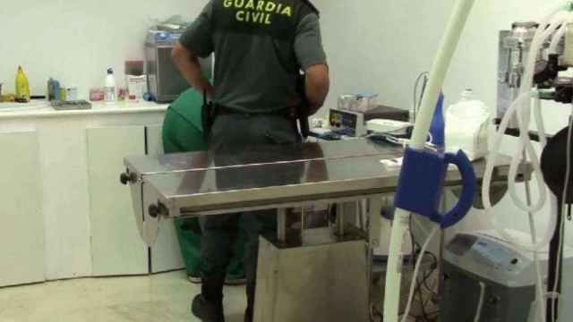 Imagen de la Guardia Civil registrando la clínica veterinaria