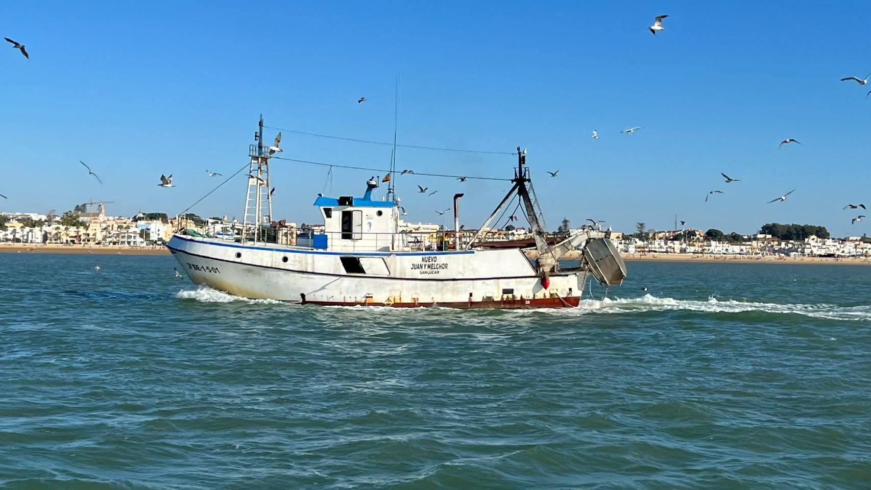 De Marruecos al veto de Bruselas: la pesca española agoniza con su