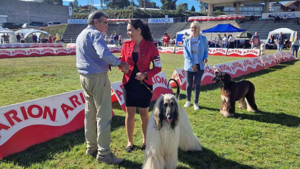 Participantes de un concurso de belleza canina en Silleda.