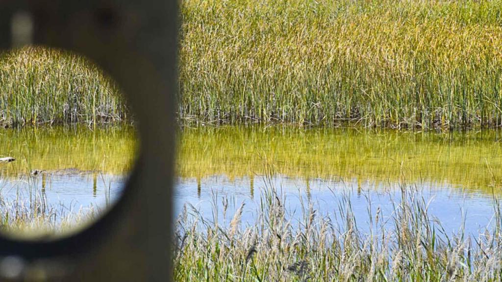 Las Lagunas de Padilla de Duero cerca de Peñafiel