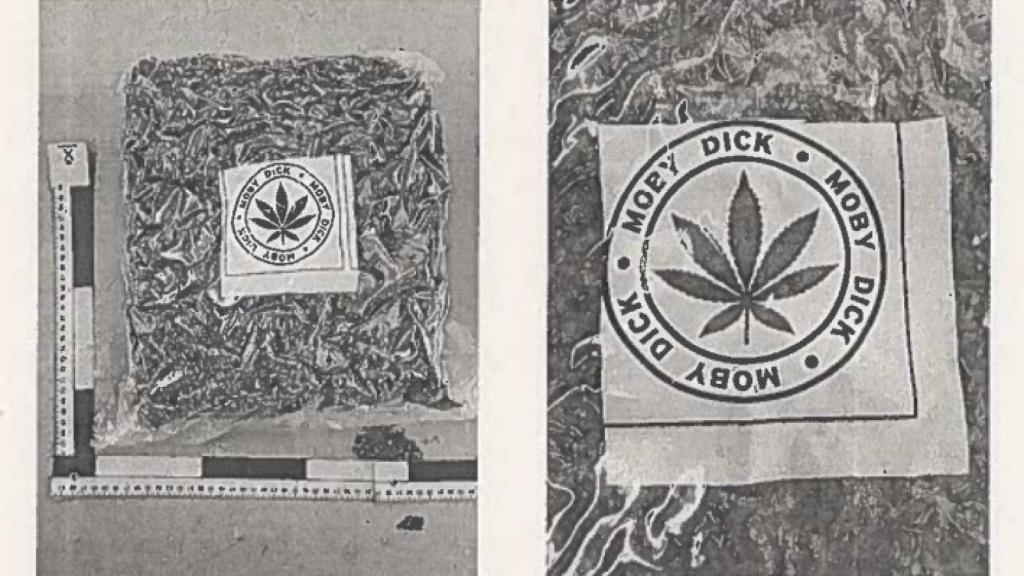 Parte de la marihuana envasada al vacío y empaquetada que se intervino durante la investigación.