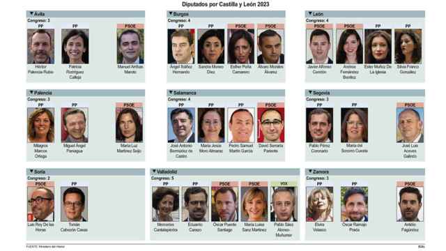 Diputados electos por Castilla y León