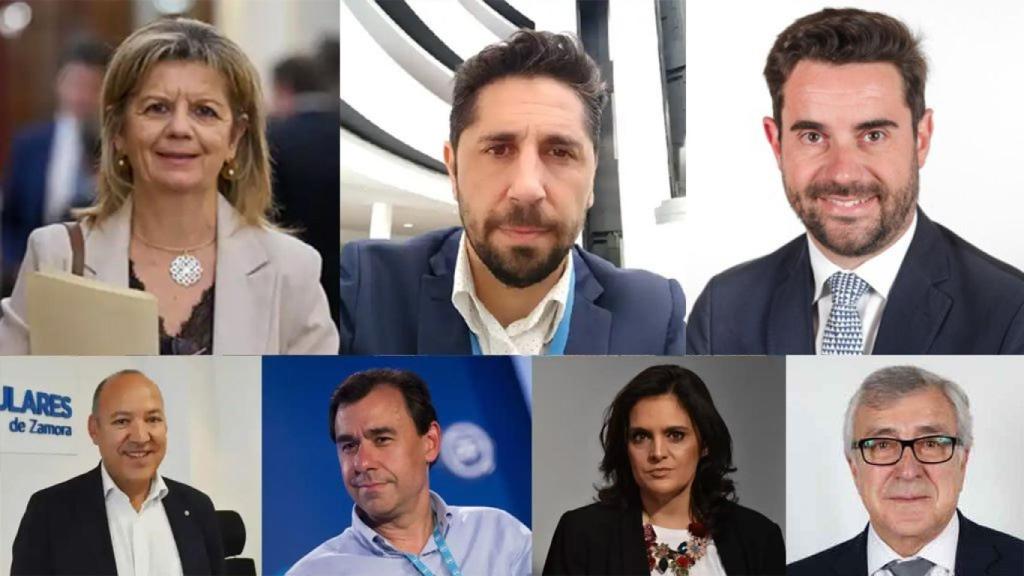 Los parlamentarios electos por Zamora
