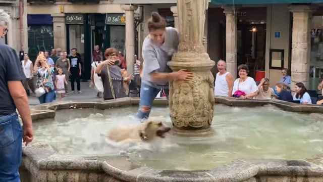 Momento en el que la dueña del animal intenta rescatarlo.