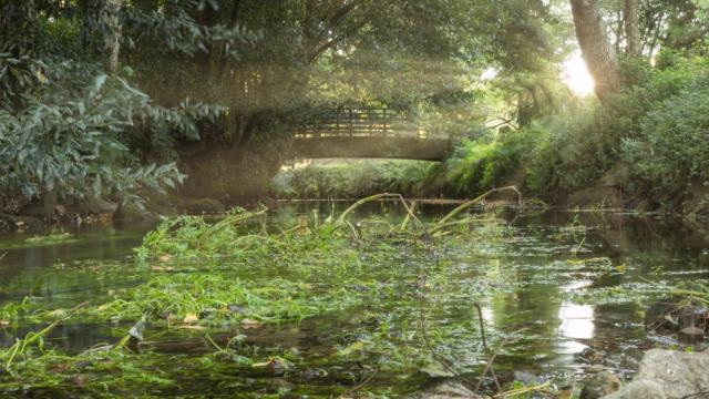 Paseo del río Gafos. Foto: Turismo de Galicia