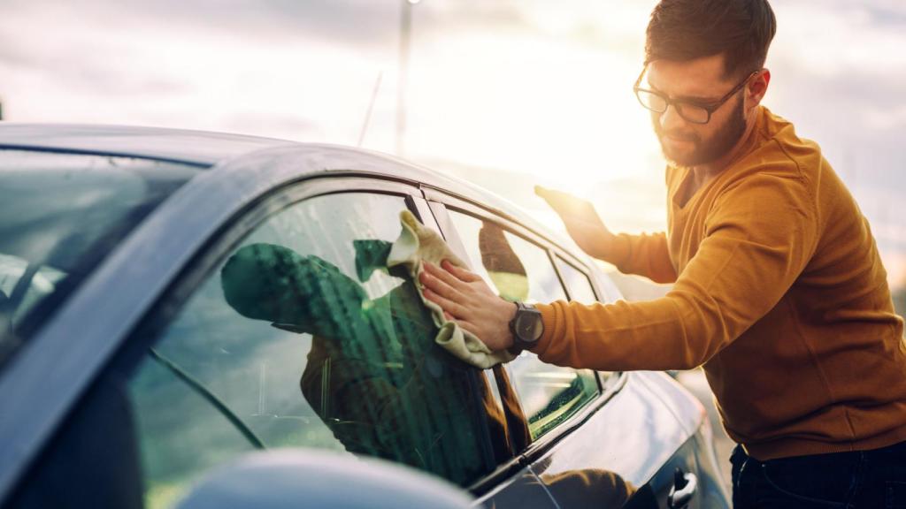 Los mejores trucos para limpiar los mosquitos del coche