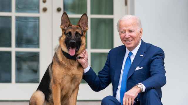 Joe Biden, junto con su perro