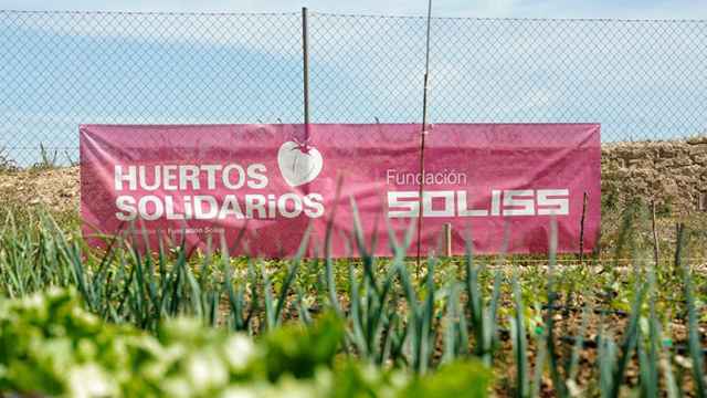 Aumenta la demanda y la producción de los huertos solidarios de la Fundación Soliss