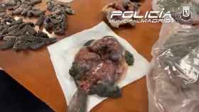 Ejemplar de tortuga sacrificada para cocinarla en el restaurante de Usera intervenido.