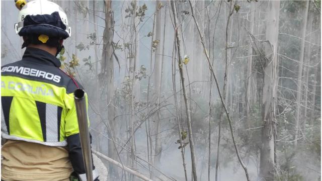 Imagen de la intervención de este jueves en el incendio forestal