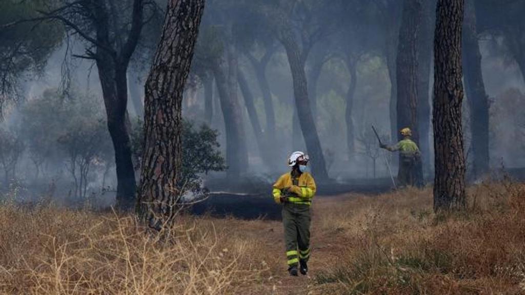 Los profesionales sofocando un fuego. Imagen de archivo