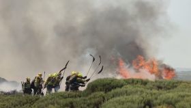 Incendio de un incendio forestal