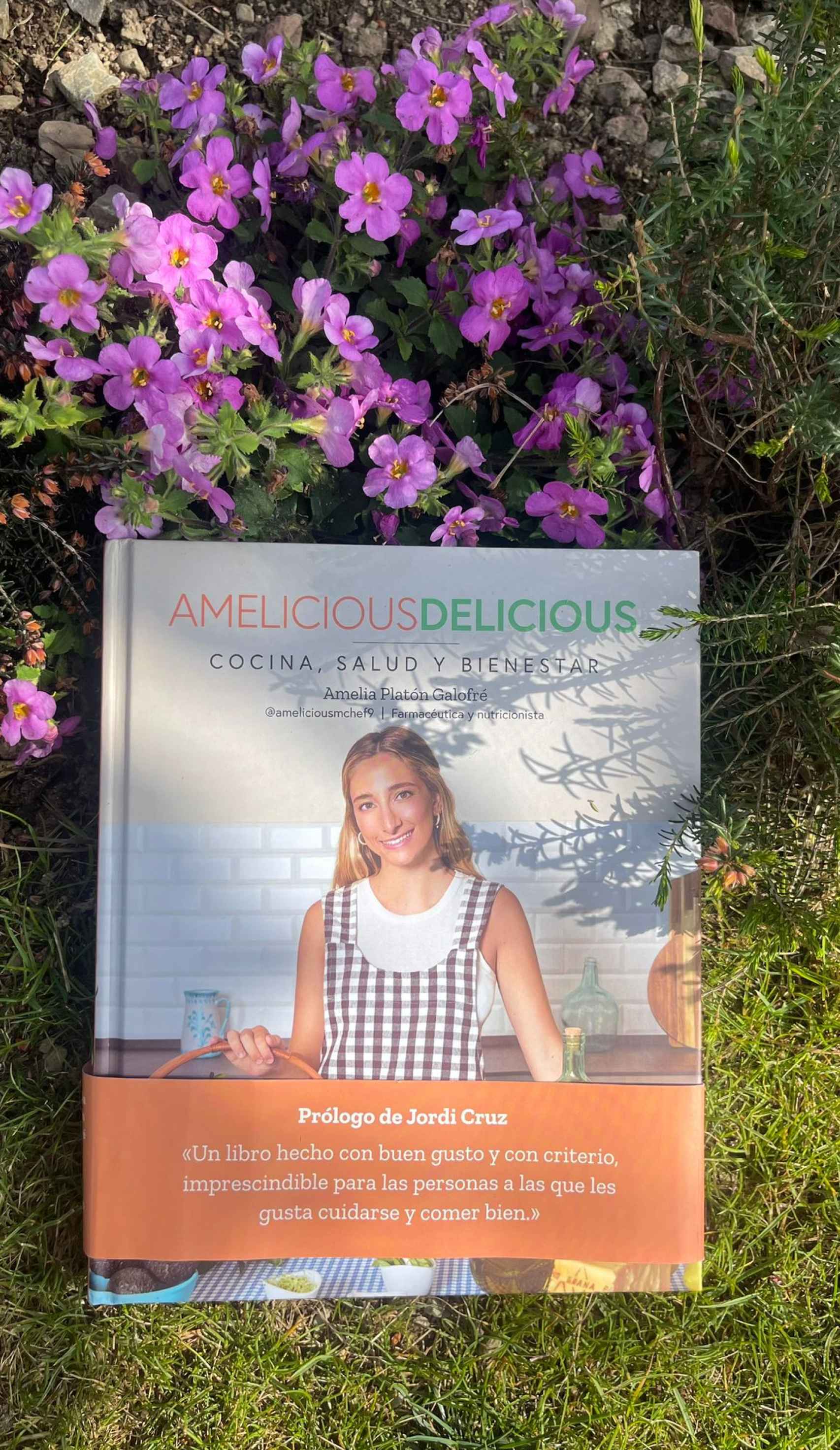 Amelicious Delicious: cocina, salud y bienestar.