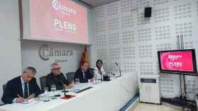 Pleno de la Cámara de Comercio de Alicante.
