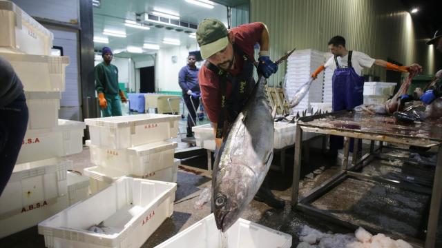 Marineros y trabajadores en la lonja.