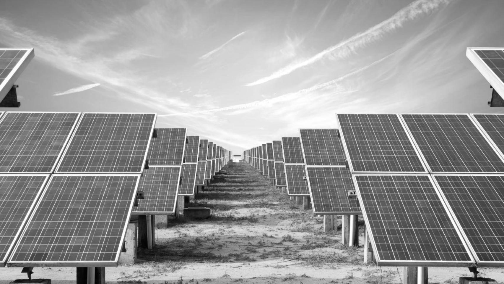 Cómo los paneles solares pueden ser la alternativa para combatir la sequía y mitigar sus efectos