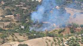 Un incendio forestal en Jimera del Líbar.
