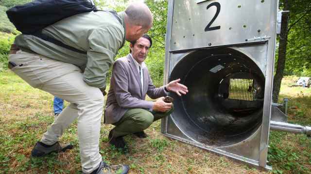 El consejero de Medio Ambiente, Vivienda y Ordenación del Territorio, Juan Carlos Suárez-Quiñones, durante su visita a uno de los sistemas de captura de osos para radiomarcaje en Tejedo del Sil (León)