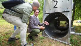 El consejero de Medio Ambiente, Vivienda y Ordenación del Territorio, Juan Carlos Suárez-Quiñones, durante su visita a uno de los sistemas de captura de osos para radiomarcaje en Tejedo del Sil (León)