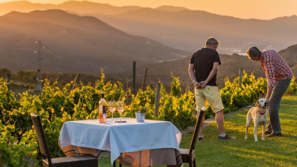 Vinos, atardeceres y viñedos