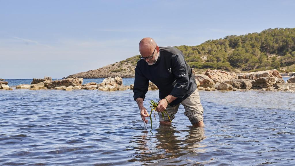 Unic, una sorpresa en Cala d'en Bossa, que reivindica la despensa ibicenca con la posidonia como arma