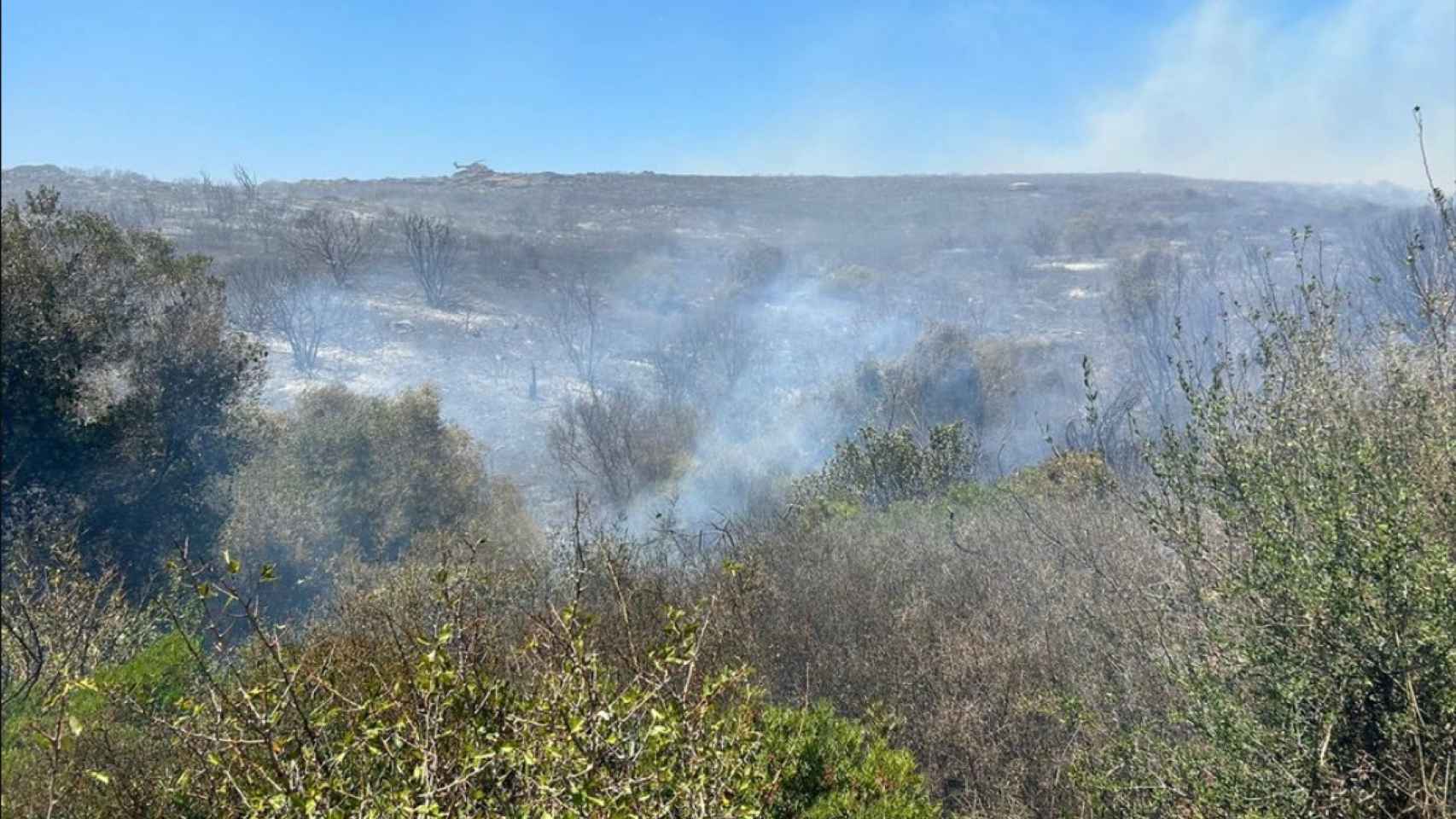 Incendio en un paraje de La Línea de la Concepción