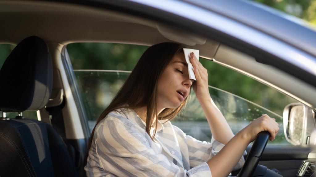 Una temperatura de 35°C en el interior equivale a conducir con una tasa de alcohol de 0,5 g/litro en sangre.