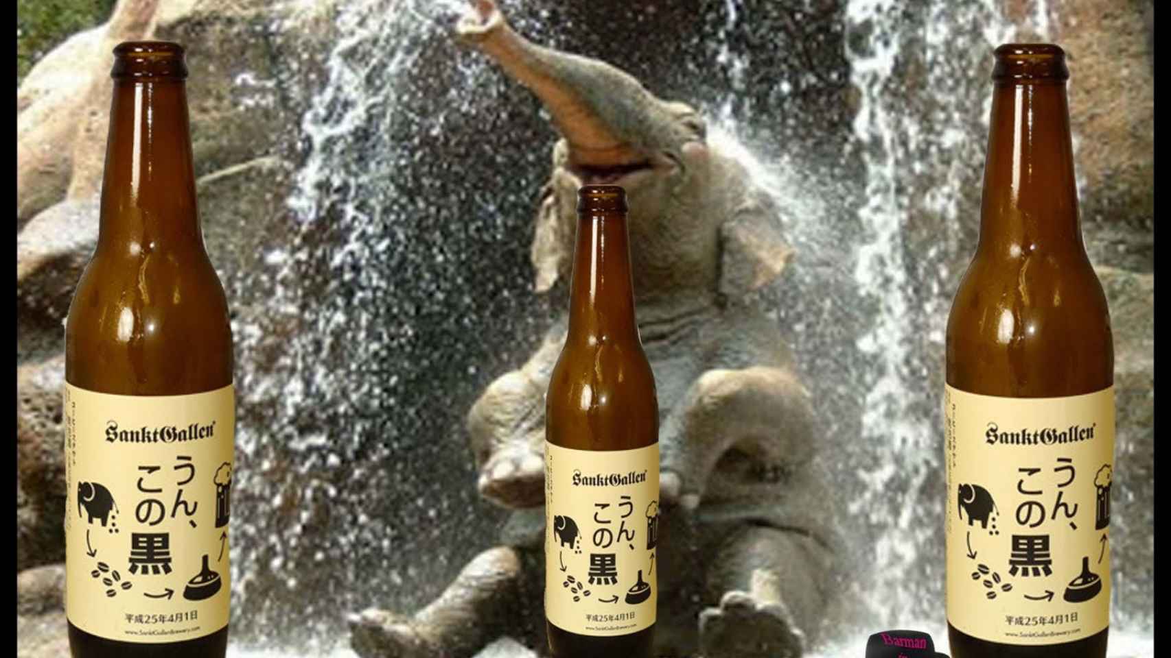 La cerveza elaborada con granos de café en caca de elefante.