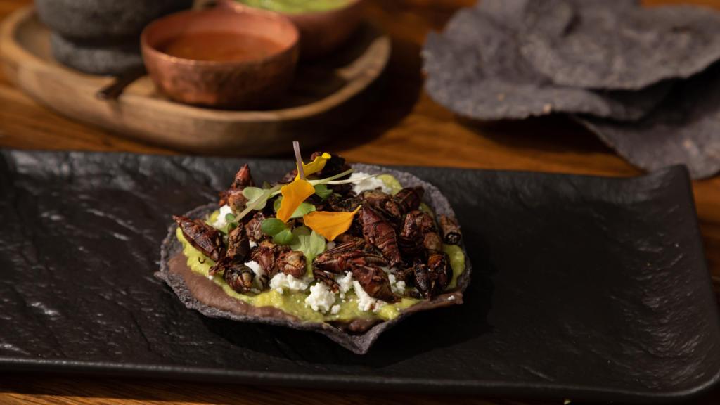 Un plato de tacos con insectos y guacamole.