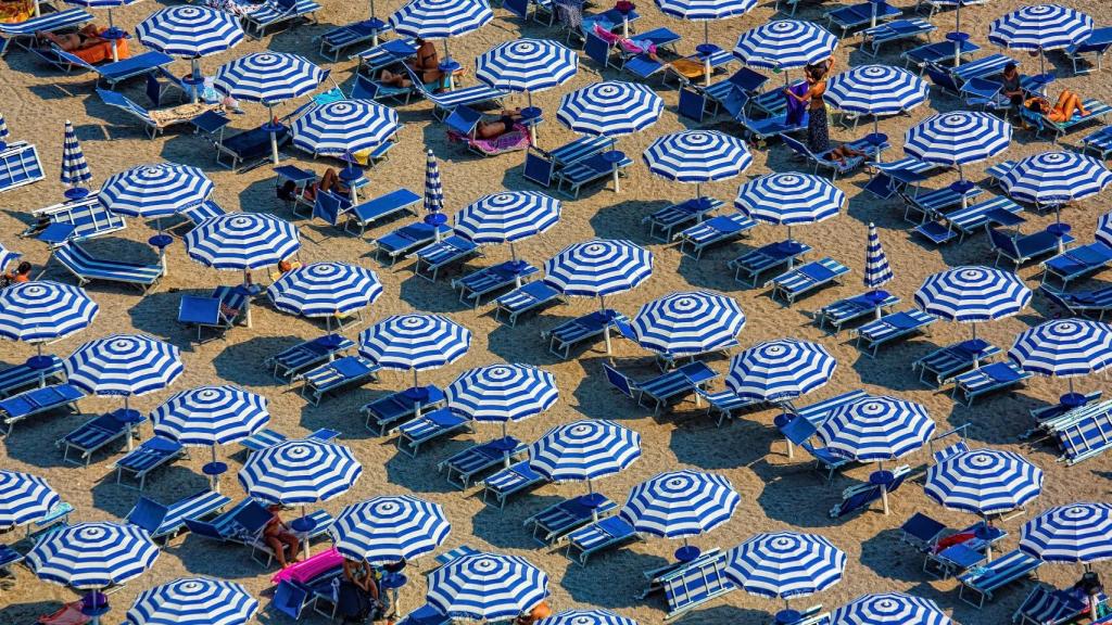 Sombrillas en la playa