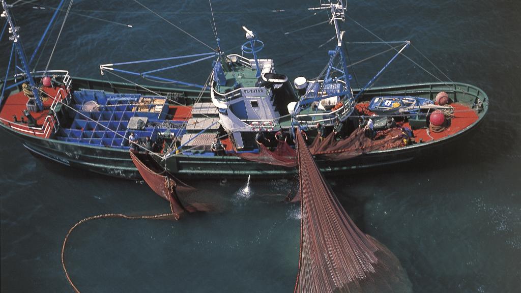 Vista aérea de un barco pesquero largando red para capturar cebo vivo.