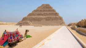 Un camello junto a las pirámides de Egipto