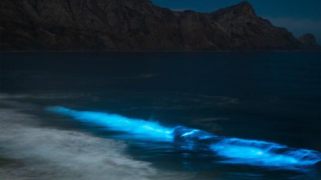 Estas playas de España se iluminan por la noche: son una auténtica joya de la naturaleza