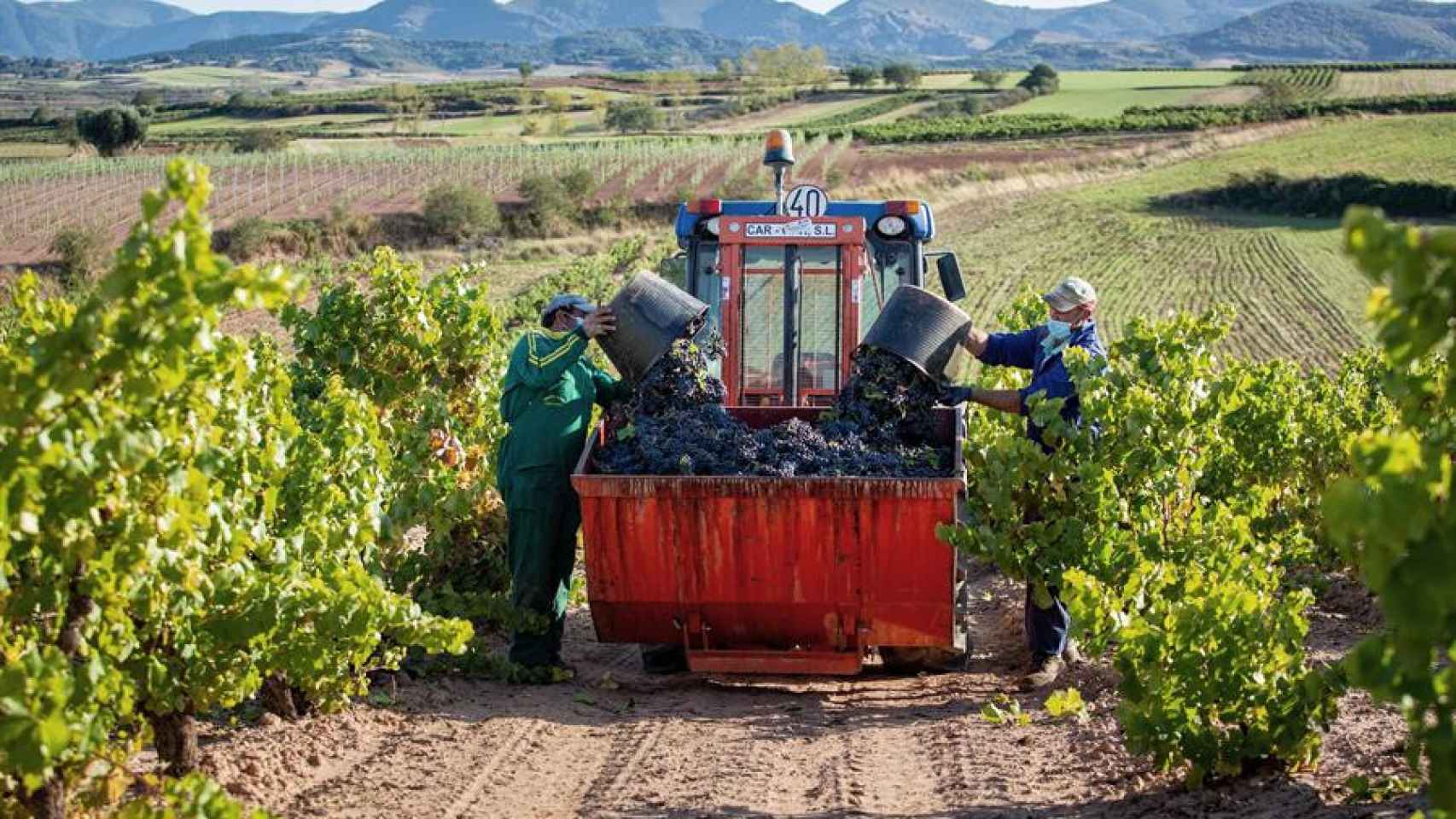 Viticultores en un viñedo de La Rioja alavesa.