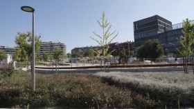 El espacio verde del nuevo desarrollo urbanístico de Madrid.