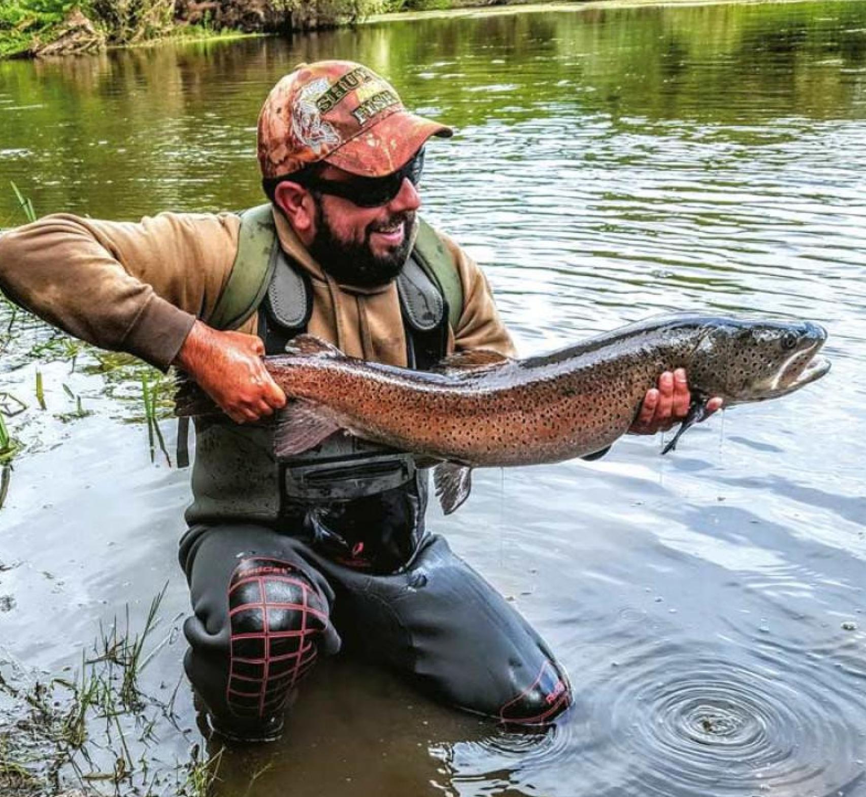 Pesca del salmón del Danubio