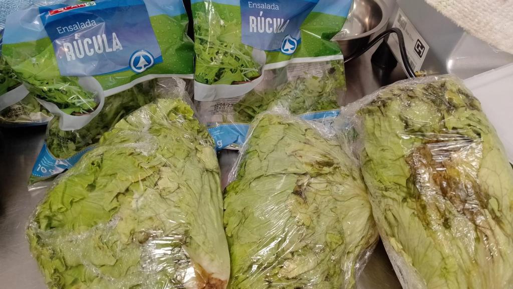 Lechuga y productos para ensalada estropeados.