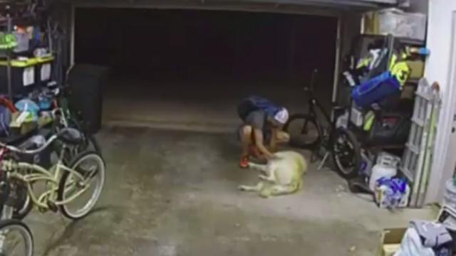 Captura de pantalla del vídeo de la cámara de seguridad.