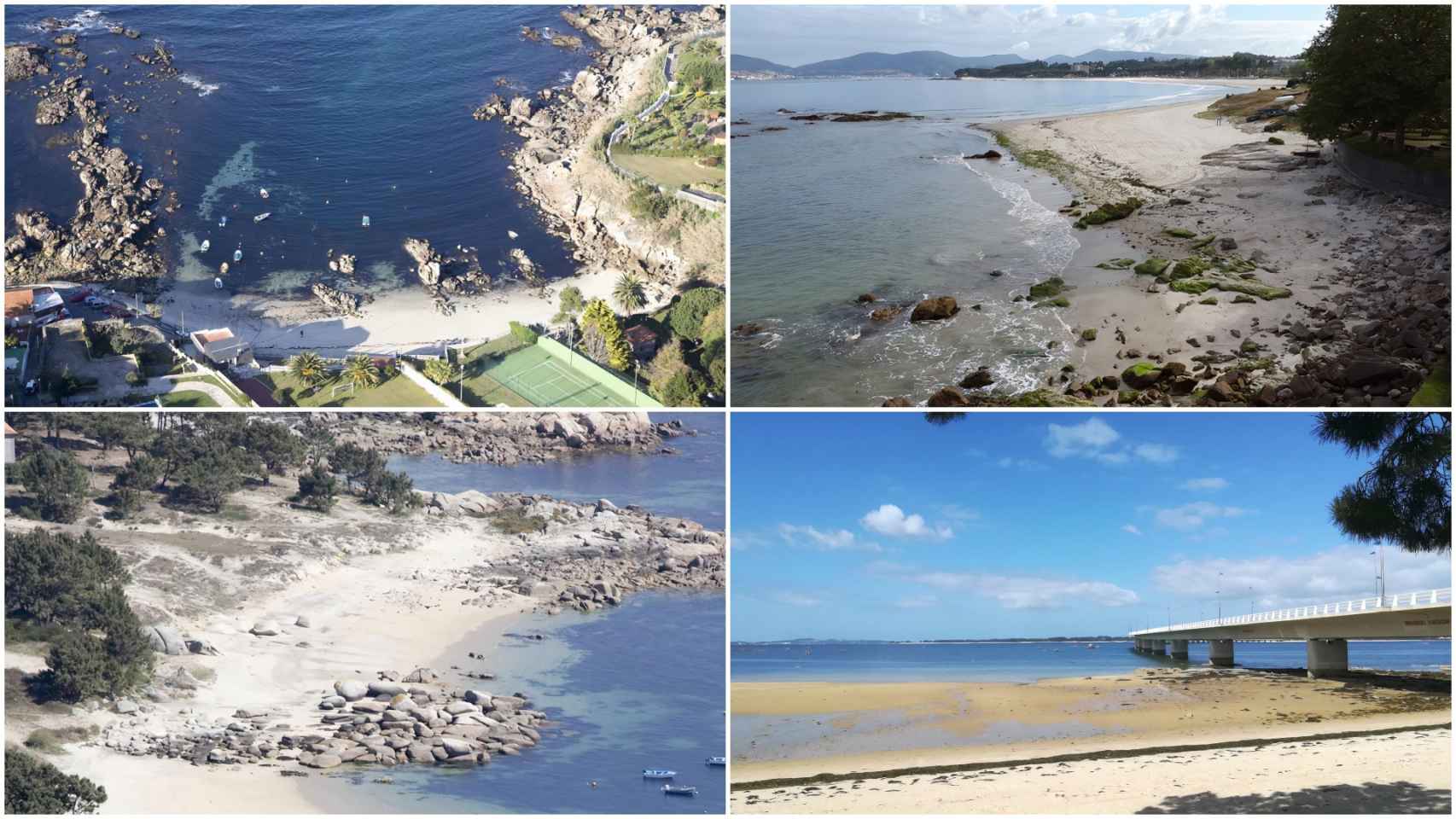 Playas caninas en la provincia de Pontevedra donde refrescarte con tu perro este verano