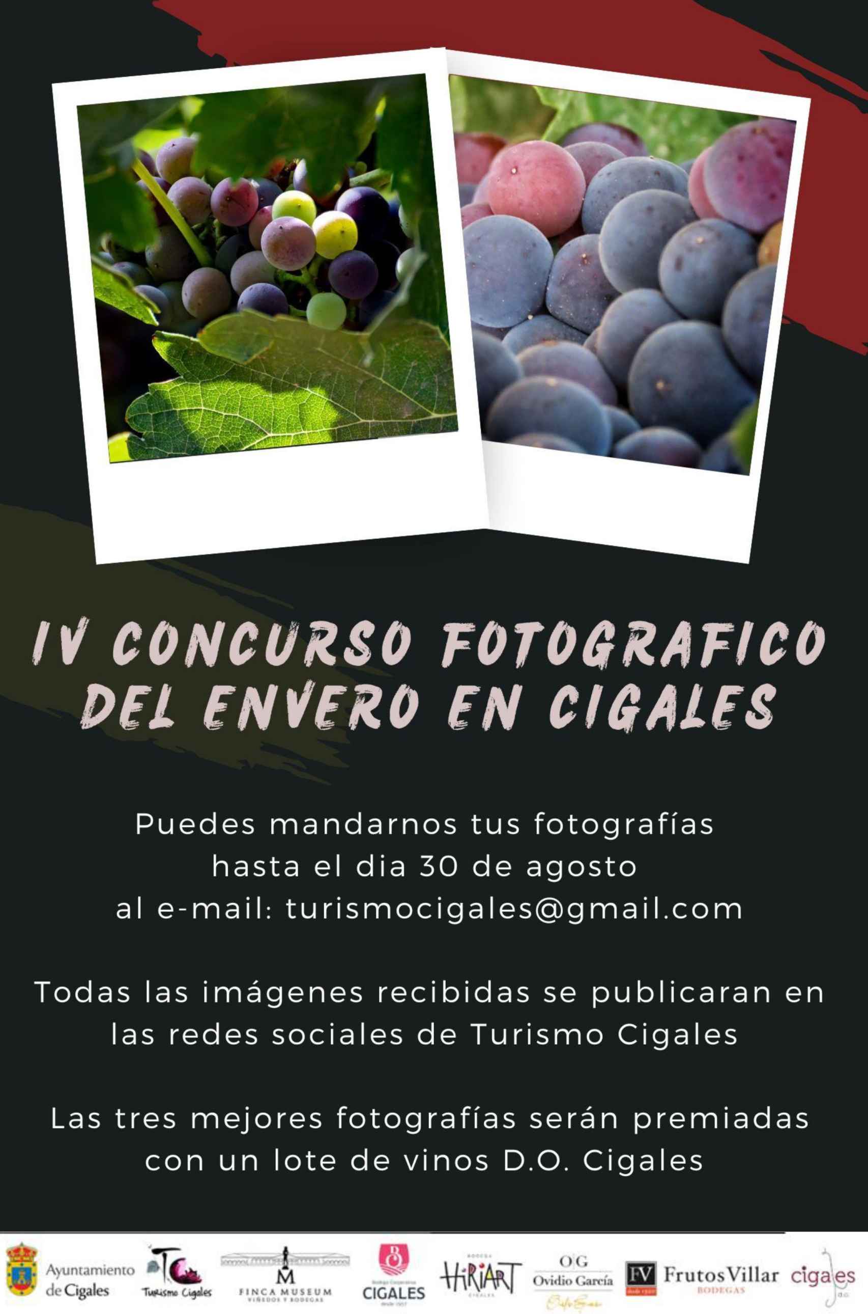 IV Concurso fotografía digital del envero en Cigales